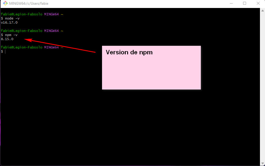 Vérification de la présence de l'installateur de paquets NPM de Node.js et de sa version