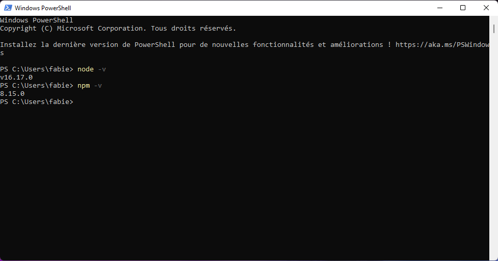 Vérification de la version de node dans le terminal Power Shell