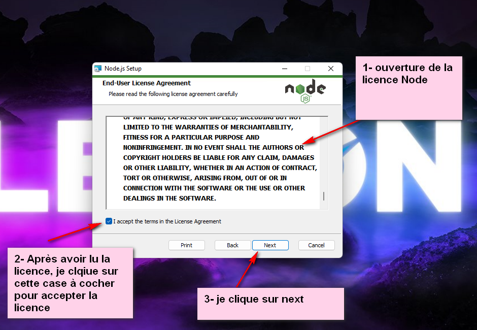 Acceptation de la licence de Node.js dans la fenêtre de l'installateur
