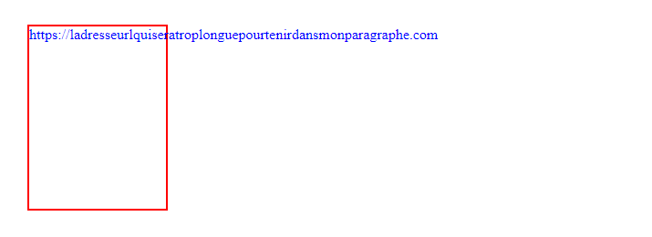 Image de l'affichage d'un paragraphe qui contient un texte trop long sans césure