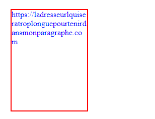 Image du paragraphe avec un texte trop long mais avec la propriété CSS word-wrap qui a pour valeur break-word