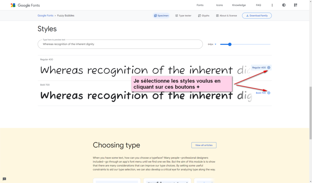 Image de sélection des styles de la police sur Google Fonts