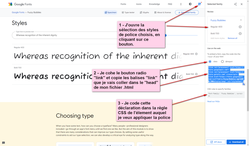 Image de copie des balises link du CDN Google Fonts pour faire le lien avec notre projet