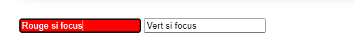 Image de l'affichage du formulaire avec un focus dans le 1er champ qui change d'apparence avec le pseudo-format CSS :focus