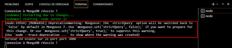 Image du terminal indiquant un warning pour le module mongoose