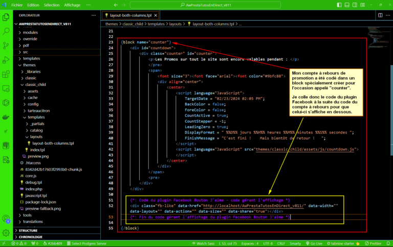 Image de l'intégration du code d'affichage du bouton J'aime dans le code de la boutique PrestaShop.